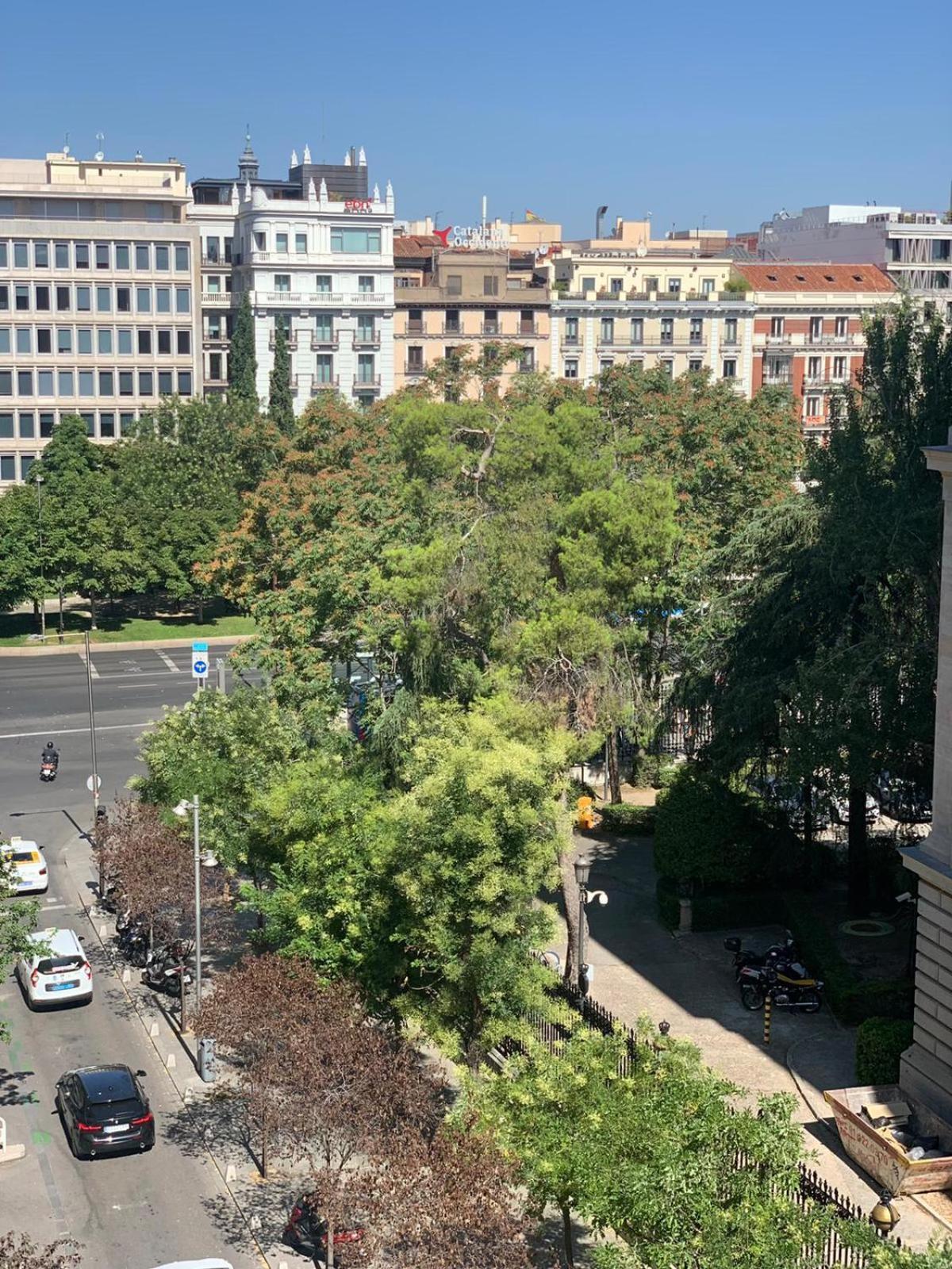 Luxury Studio Retiro Park & Prado Museum Madrid Eksteriør bilde